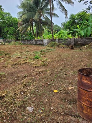 Plot Area in  Plot at Cheroor – for Sale