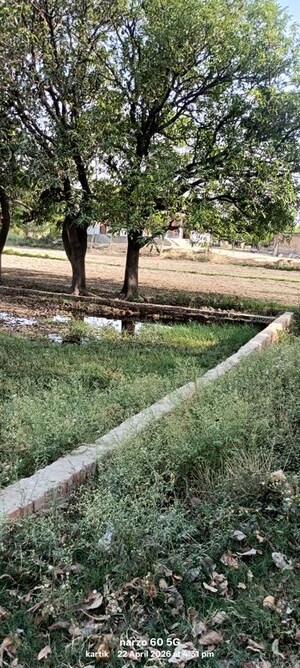 Plot Area in  Plot at Shivpurwa – for Sale