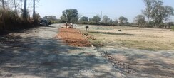 Plot For Sale in Shivpurwa