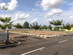 Plot For Sale in Salarpuria Pipal Tree 