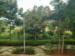 2 BHK Apartment – Garden View at Ozone Urbana Aqua, Devanahalli - for Rent