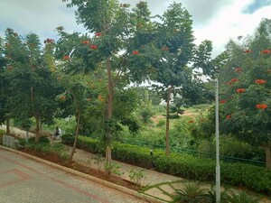 2 BHK Apartment – Garden View at Ozone Urbana Aqua, Devanahalli - for Rent