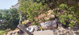 6+ BHK Builder Floor – Exterior View View at Arekere - for Sale