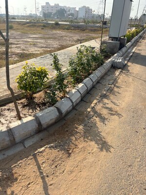  Plot For Sale in Spiti Palm Estate, Farukh Nagar Sector 3