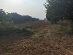 25000 Sq.Ft. Plot in Sector 5