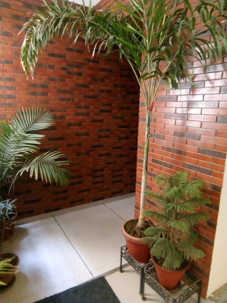 Balcony, nk-sharma-savitry-greens-2 3 Bedroom 1870 Sq.Ft. Apartment In Ghazipur Zirakpur 10388957