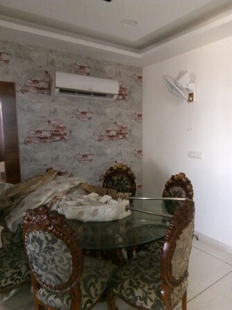 3 BHK Apartment For Rent in NK Sharma Savitry Greens 2 in Ghazipur, Zirakpur