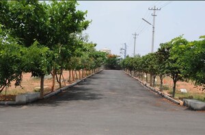  Plot – Exterior View View at Hampapura - for Sale