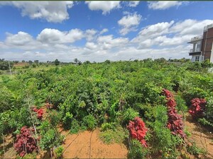  Plot – Garden View at Hampapura - for Sale