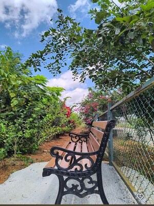  Plot – Exterior View View at Hampapura - for Sale