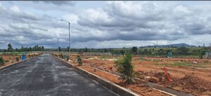 Plot Area in  Plot at Hampapura – for Sale