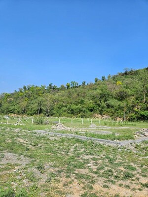 Plot Area in  Plot at Bhauwala – for Sale