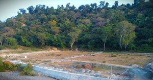 Plot Area in  Plot at Bhauwala – for Sale