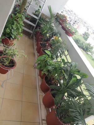 Balcony in 2 BHK Apartment at Orbit Apartments, Vip Road – for Rent