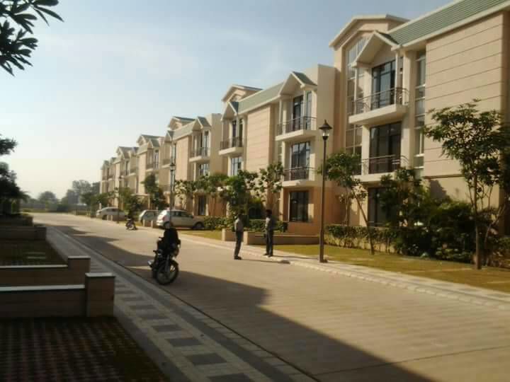 3 BHK 1640 Sq.Ft. Builder Floor in Omaxe Silver Birch