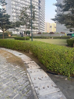 2 BHK Apartment – Garden View at Emenox La Solara, Sector 16 Greater Noida - for Sale