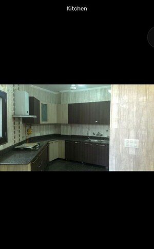 Kitchen in 3 BHK Builder Floor at Green Park Extension – for Rent