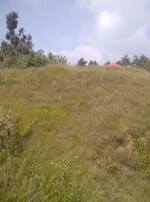 500 Sq.Yd. Land in Milton Tower