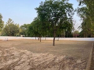 Plot Area in  Plot at Mandi – for Sale
