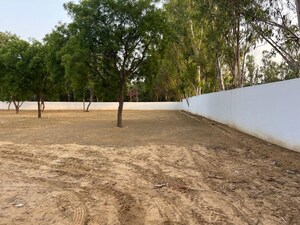 Plot Area in  Plot at Mandi – for Sale