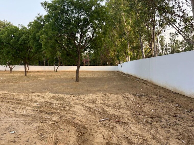 undefined, mandi  1 Acre Plot In Mandi Delhi 10389217