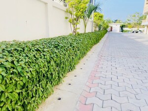 3.5 BHK Apartment – Exterior View View at Gandharva Imperial Crest, Vrindavan Yojna - for Sale