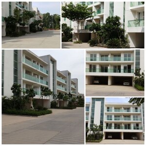 3 BHK Builder Floor – Exterior View View at Omaxe Ambrosia, North Mullanpur - for Sale