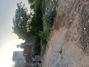 Plot Area in  Plot at Bathola – for Sale