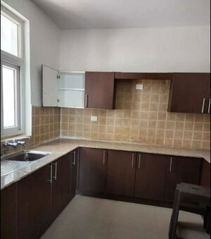 Kitchen in 3 BHK Apartment at Ansal Housing Woodbury, Patiala Road – for Rent