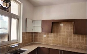 Kitchen in 3 BHK Apartment at Ansal Housing Woodbury, Patiala Road – for Rent
