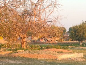 Plot Area in  Plot at Jaunapur – for Sale