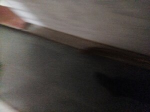 1 RK Independent House For Rent in Ellisbridge