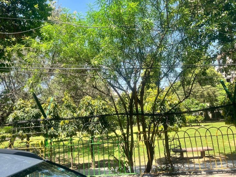 Garden, shivalik colony 2 Bedroom 900 Sq.Ft. Builder Floor In Shivalik Colony Delhi 10391483