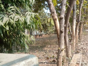 Plot Area in  Plot at Medical College Road – for Sale