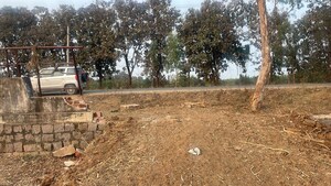  Plot For Sale in Thimmapur