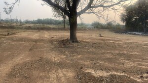 Plot Area in  Plot at Thimmapur – for Sale