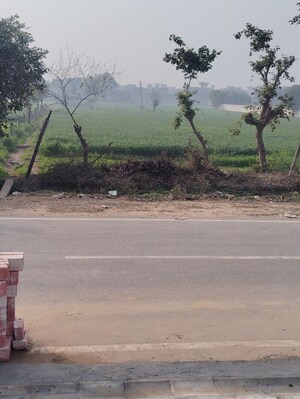  Plot For Sale in Faridpur