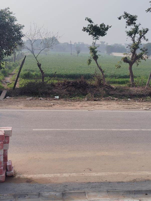 Plot For Sale in Faridpur
