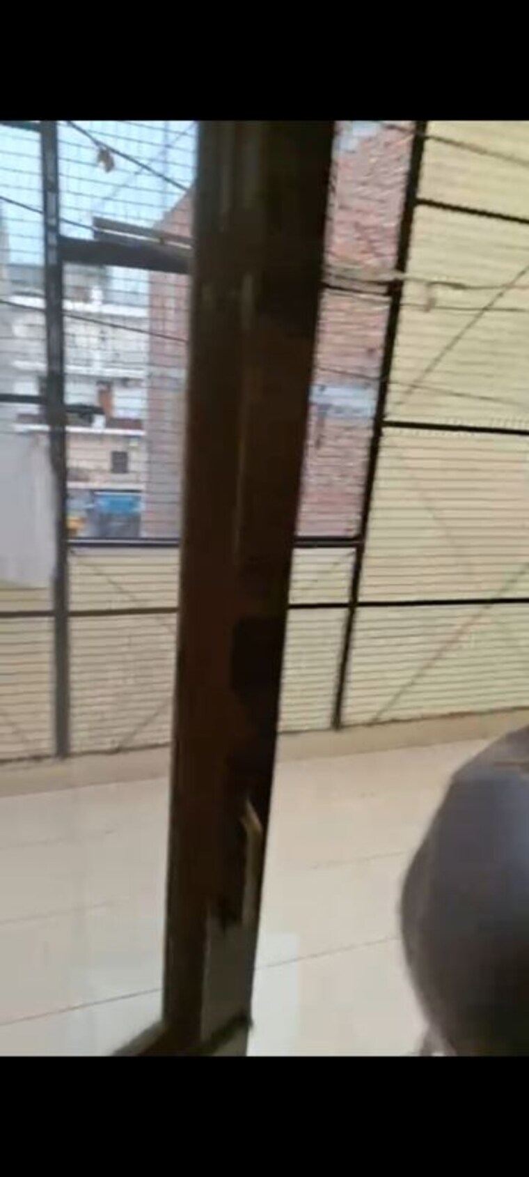 Balcony, lajpat nagar i 2 Bedroom 900 Sq.Ft. Builder Floor In Lajpat Nagar I Delhi 10391735