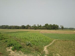  Plot For Sale in Ishan Township Silver Hills, Shiv Nagar