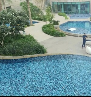 4 BHK Apartment For Rent in DLF The Crest, Sector 54