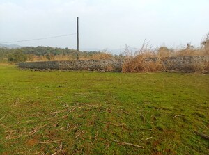 Plot Area in  Plot at Dronagiri – for Sale
