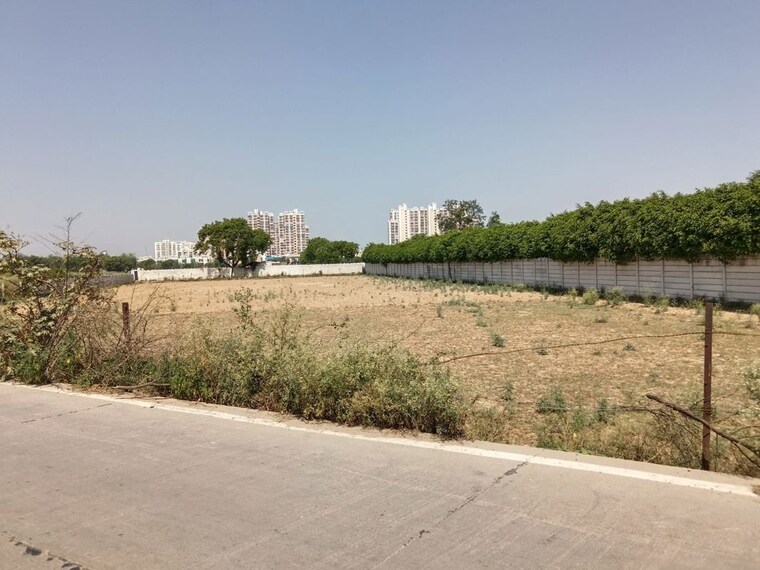 undefined, sector 84  250 Sq.Yd. Plot In Sector 84 Faridabad 10391997