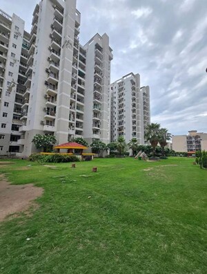 1 BHK Apartment – Exterior View View at NK Sharma Savitry Greens, Lohgarh - for Rent