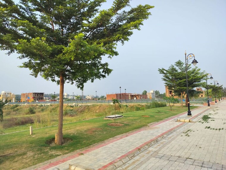 Garden, aerocity  150 Sq.Yd. Plot In Aerocity Mohali 10392074