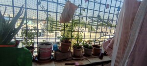 Gym in 2 BHK Apartment at Arka Enclave Alwal, Alwal – for Sale