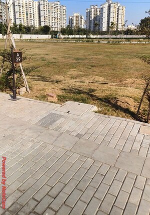 Plot Area in  Plot at Sector 84 – for Sale