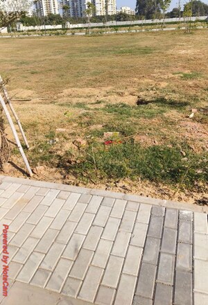 Plot Area in  Plot at Sector 84 – for Sale