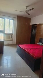 2 BHK 822 Sq.Ft. Builder Floor in Signature Global Park