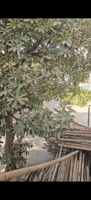 Balcony in 2 BHK Apartment at Chaitanya Vihar – for Sale